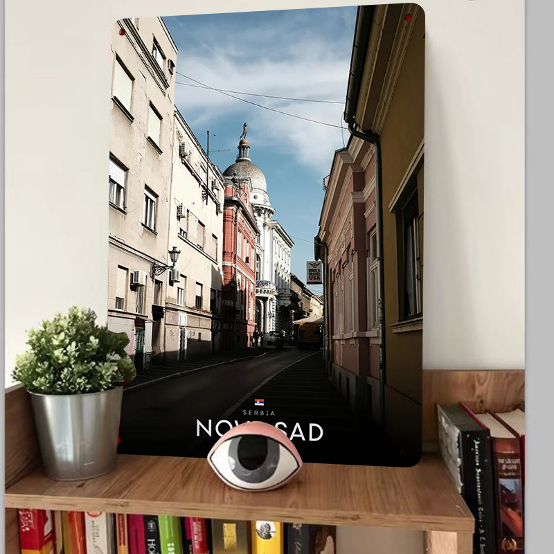 ภาพตกแต่งผนังโลหะลายวิวถนนโนวี - Home Decor Novi Sad บทวิจารณ์และราคา