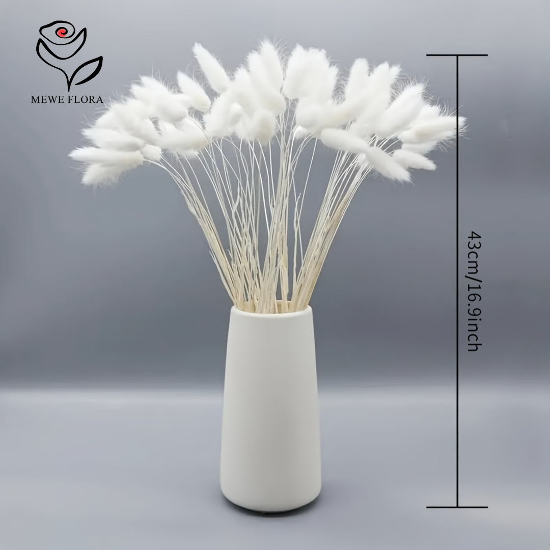 150 ชิ้น หญ้าแพมพัสสีขาวธรรมชา - Home Decor Rustic บทวิจารณ์และราคา